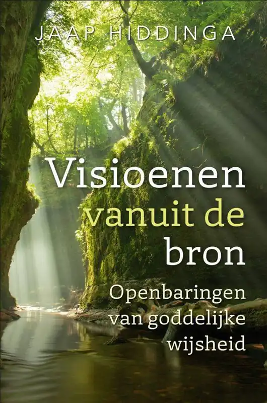 Direct Verzonden Visioenen vanuit de bron / Druk 1