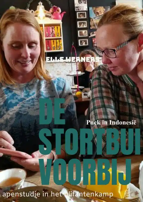 Voordeelprijs DE STORTBUI VOORBIJ / Druk 1