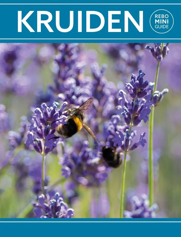 Goedkoop Kruiden - Rebo mini guide / Druk 1