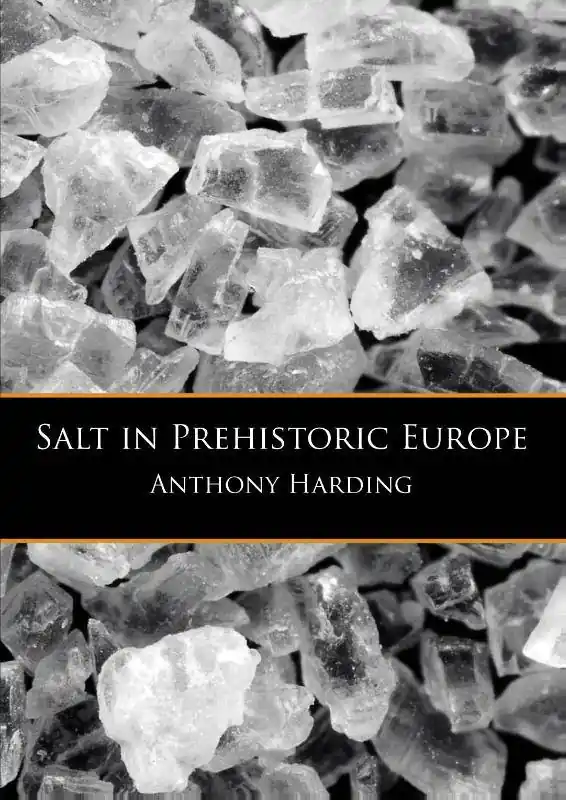 Salt in prehistoric Europe / 1st Edition Betrouwbaar