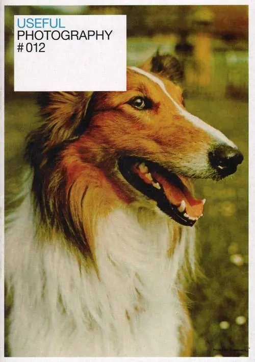 Useful photography 12 / 1st Edition Direct Verzonden