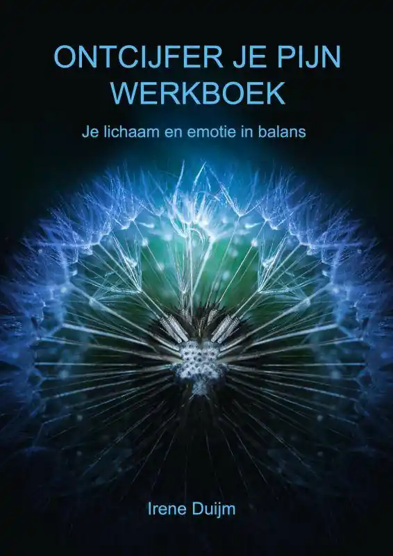 Populair Ontcijfer je Pijn Werkboek / Druk 1