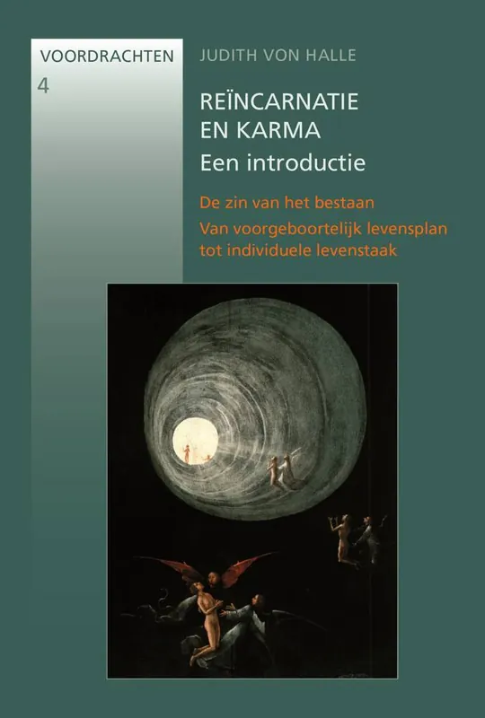 Reïncarnatie en karma / Druk 1 Dagaanbieding