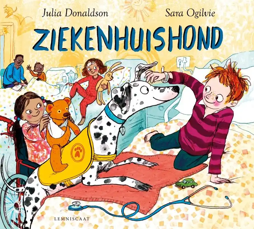 Fabrieksprijs Ziekenhuishond / Druk 1