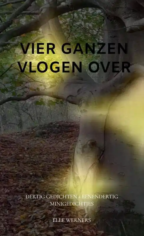 VIER GANZEN VLOGEN OVER / Druk 1 Beste Prijs