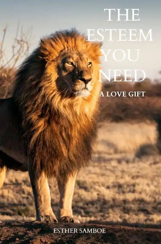 The esteem you need / 1st Edition Flitsaanbieding