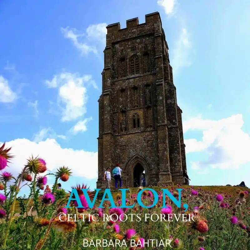 Avalon, Roses of England / 1st Edition Dagaanbieding