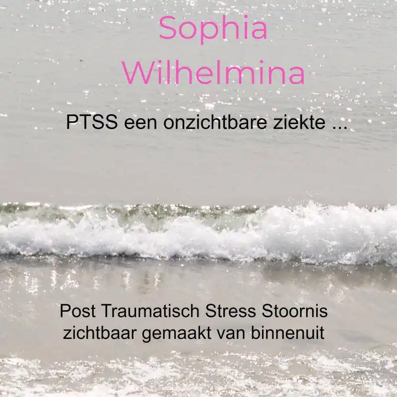Premium PTSS een onzichtbare ziekte ... / Druk 1