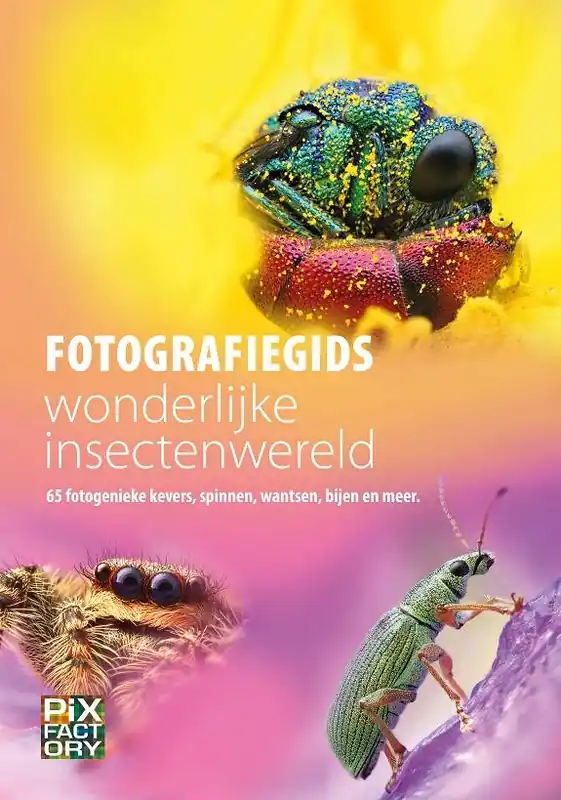 Fotografiegids wonderlijke insectenwereld / Druk 1 Exclusieve Aanbieding