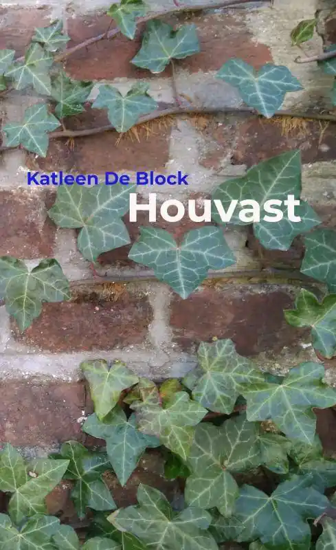Koopje Houvast / Druk 1