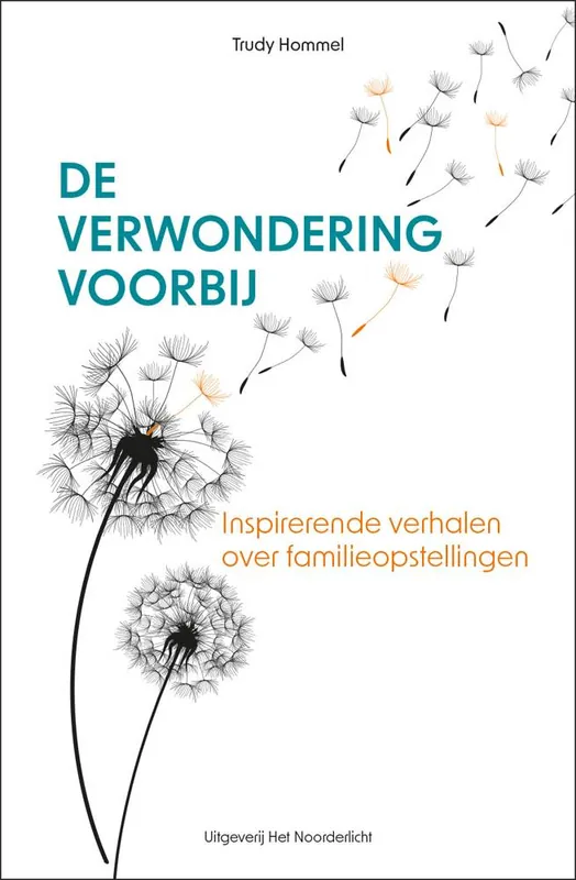 Beperkte Voorraad De verwondering voorbij / Druk 1