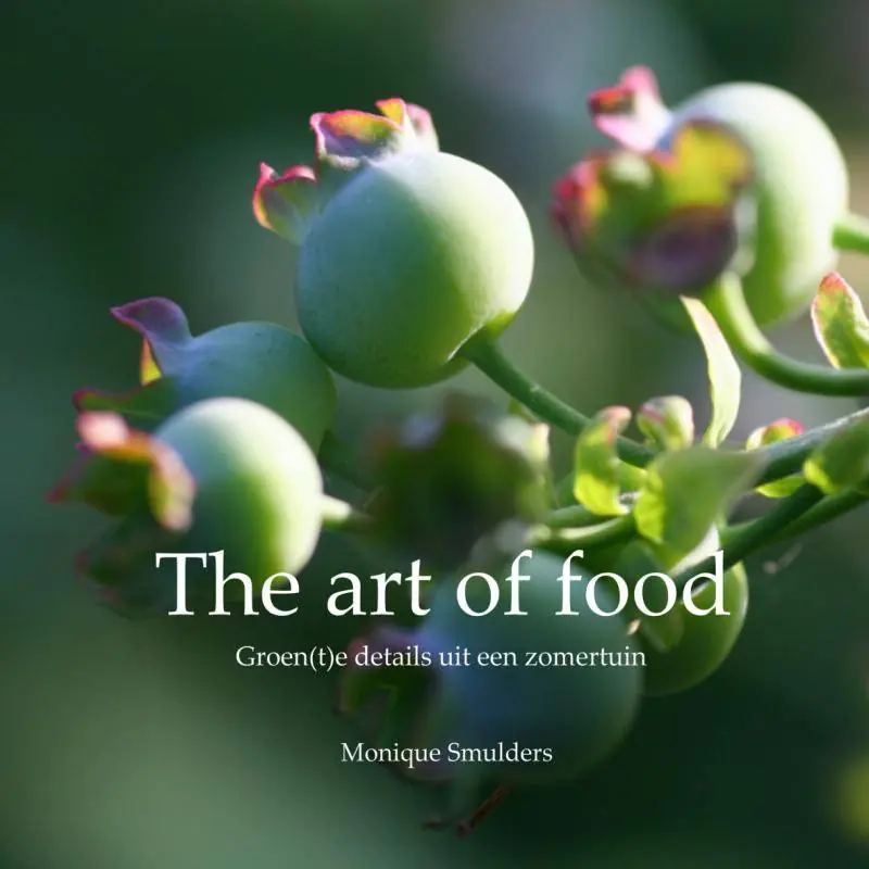 Finale Uitverkoop The art of food / Druk 1