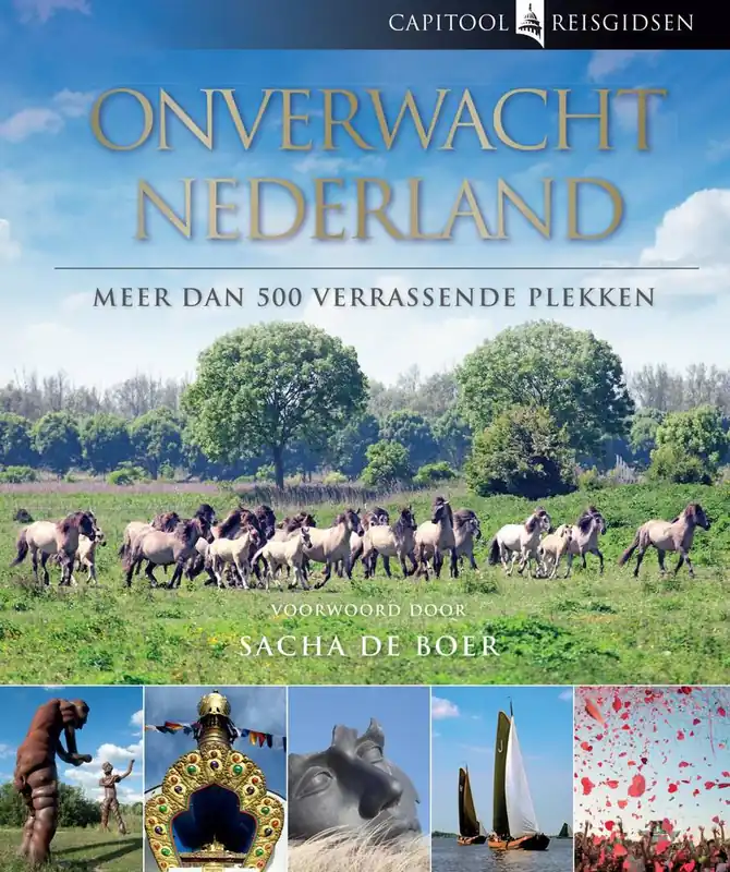 Onverwacht Nederland / Druk 17 Express Levering