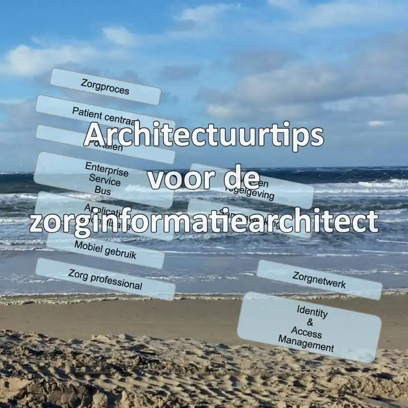 Architectuurtips voor de zorginformatiearchitect / Druk 1 Snelle Levering