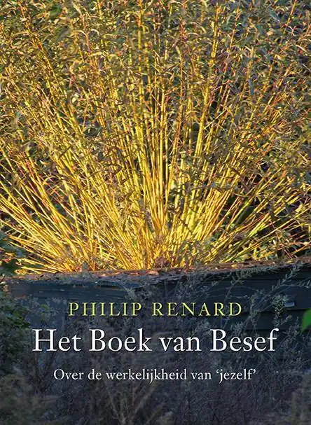 Alleen Vandaag Het boek van besef / Druk 1