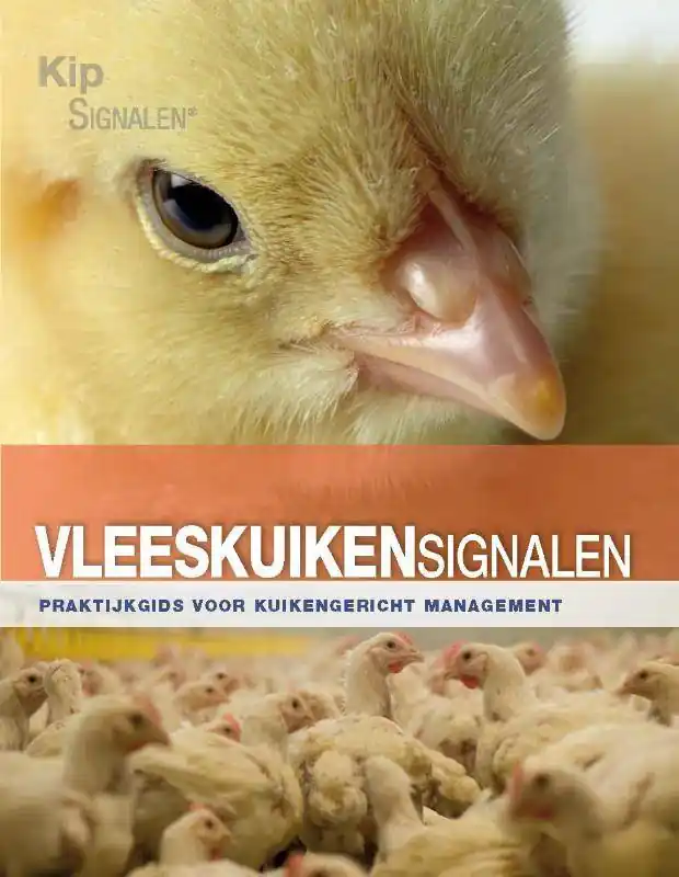 Snelle Levering Vleeskuikensignalen / Druk 1