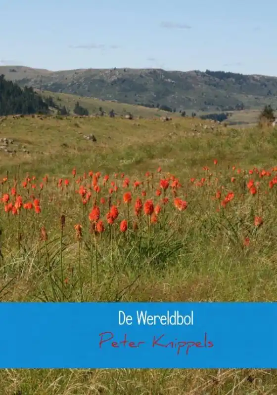 Goedkoop De wereldbol / Druk 1